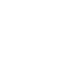 logo main